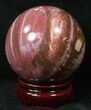 Colorful Petrified Wood Sphere #17877-1